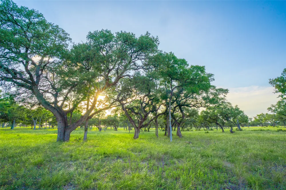 Twisted Vine Ranch Johnson City, TX 78636