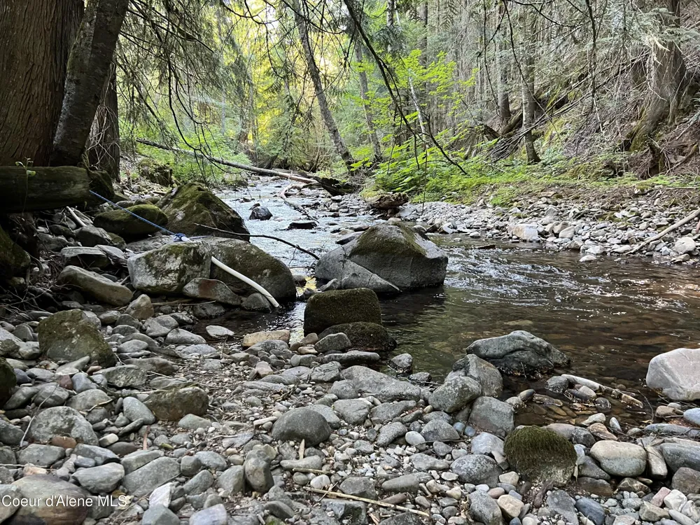 900 Trestle Creek Road Hope, ID 83836