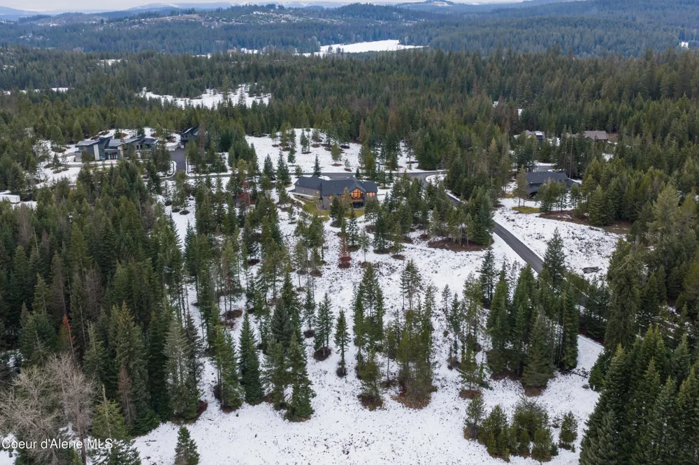 227 Mesa Drive Athol, ID 83801