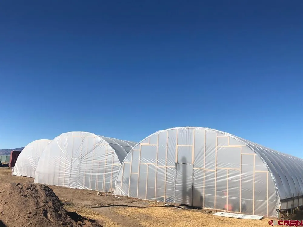 704 Mayor Patricia Reigel Boulevard