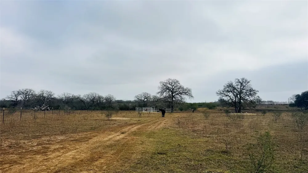 957 Johnson Farms Road Harwood, TX 78632