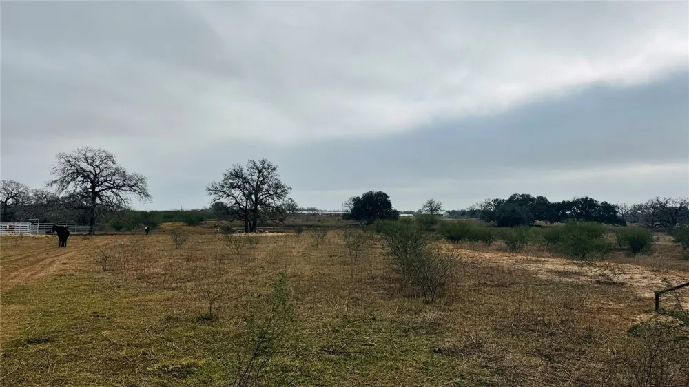 957 Johnson Farms Road Harwood, TX 78632