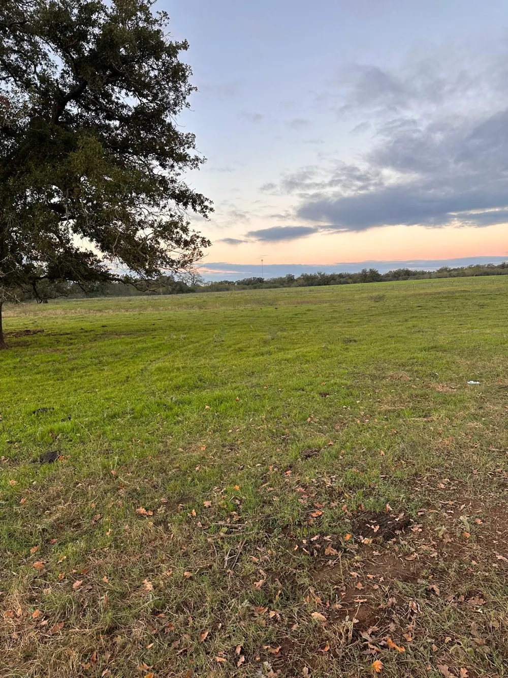 957 Johnson Farms Road Harwood, TX 78632