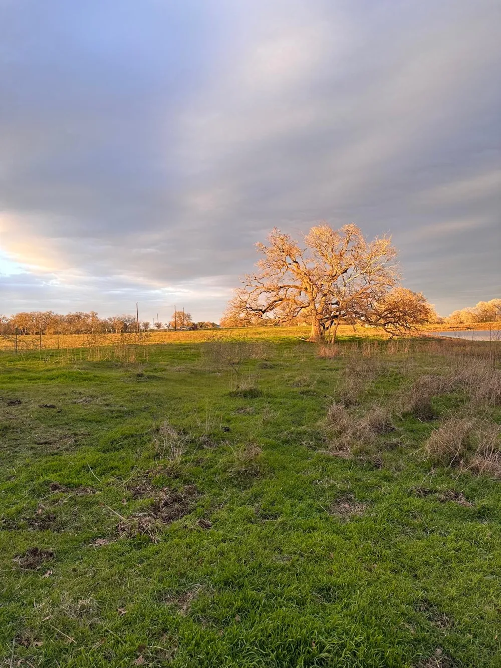 957 Johnson Farms Road Harwood, TX 78632