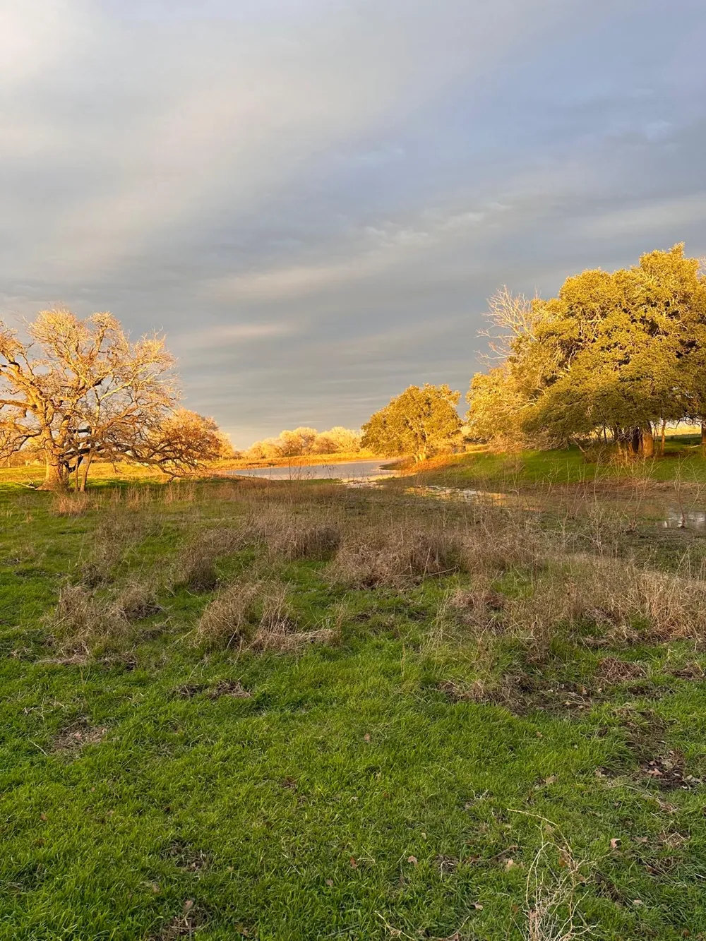 957 Johnson Farms Road Harwood, TX 78632