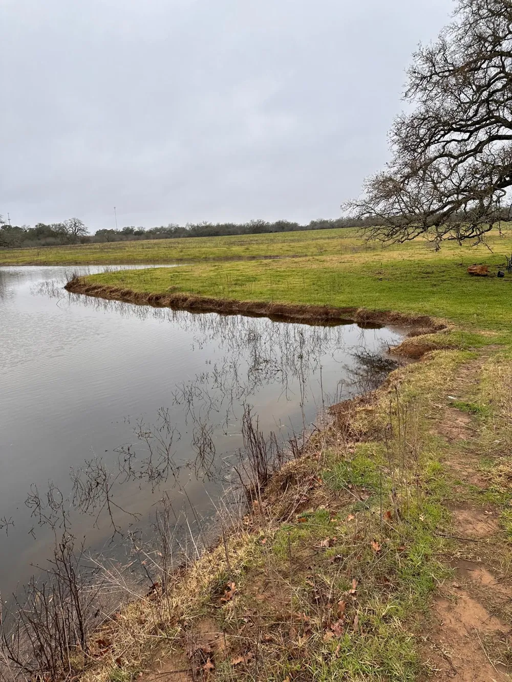 957 Johnson Farms Road Harwood, TX 78632