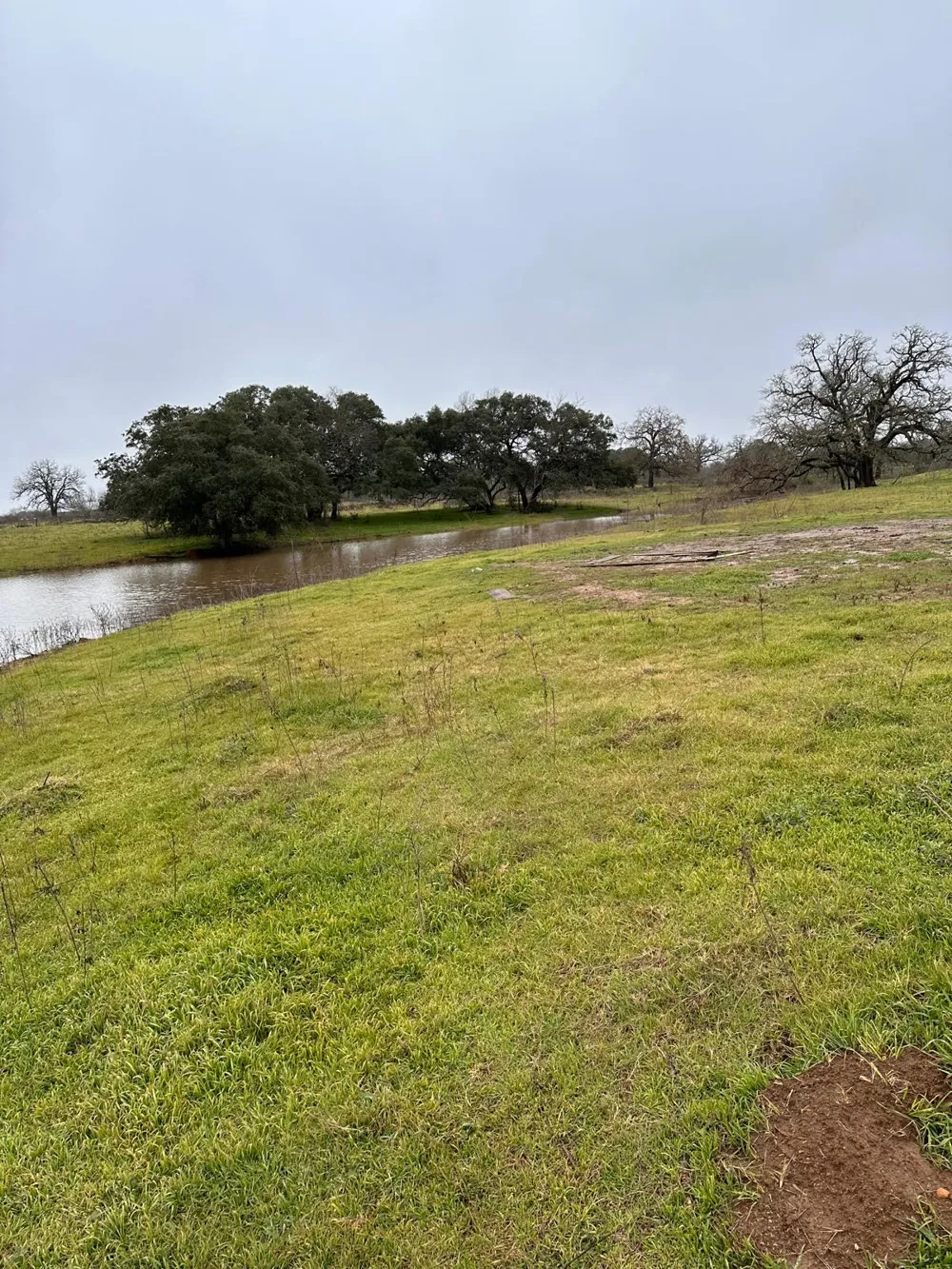 957 Johnson Farms Road Harwood, TX 78632