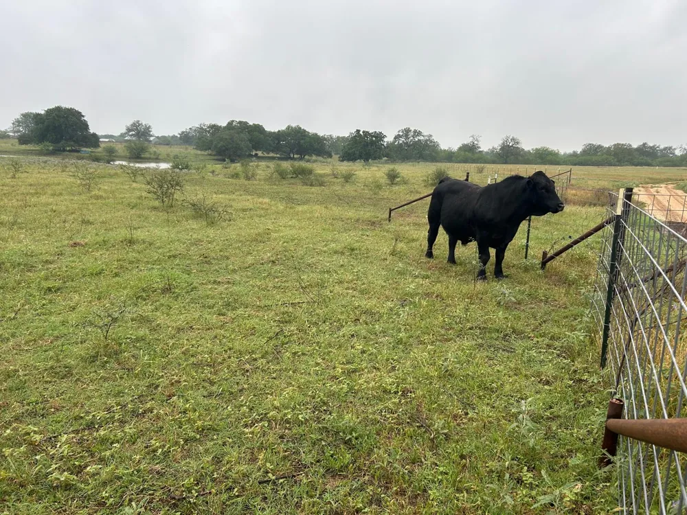 957 Johnson Farms Road Harwood, TX 78632