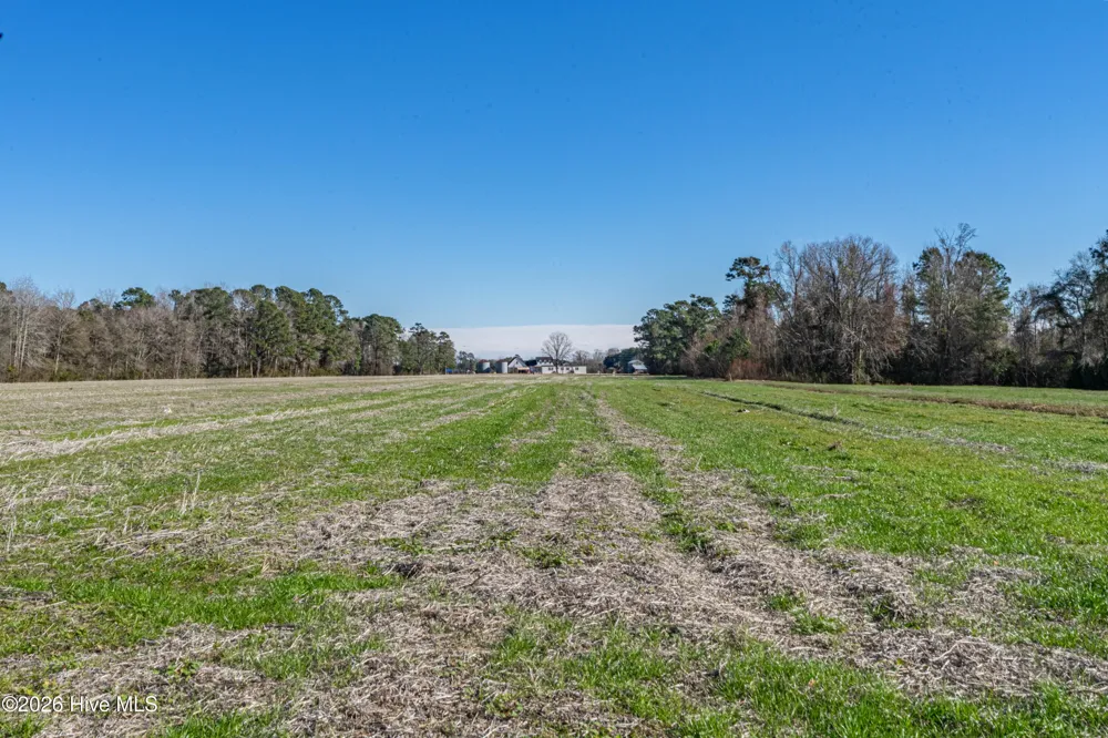 852 Bug Hill Road Nakina, NC 28455
