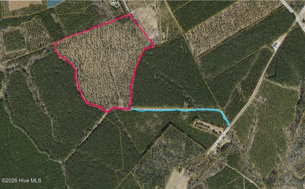 0 Sr 1119 Off Chocowinity, NC 27817