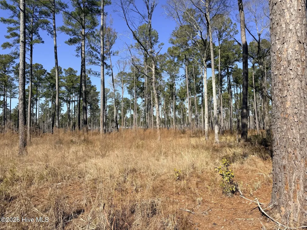 0 Sr 1119 Off Chocowinity, NC 27817