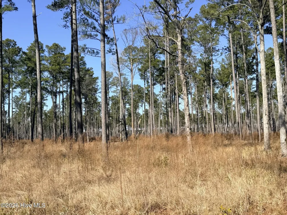 0 Sr 1119 Off Chocowinity, NC 27817
