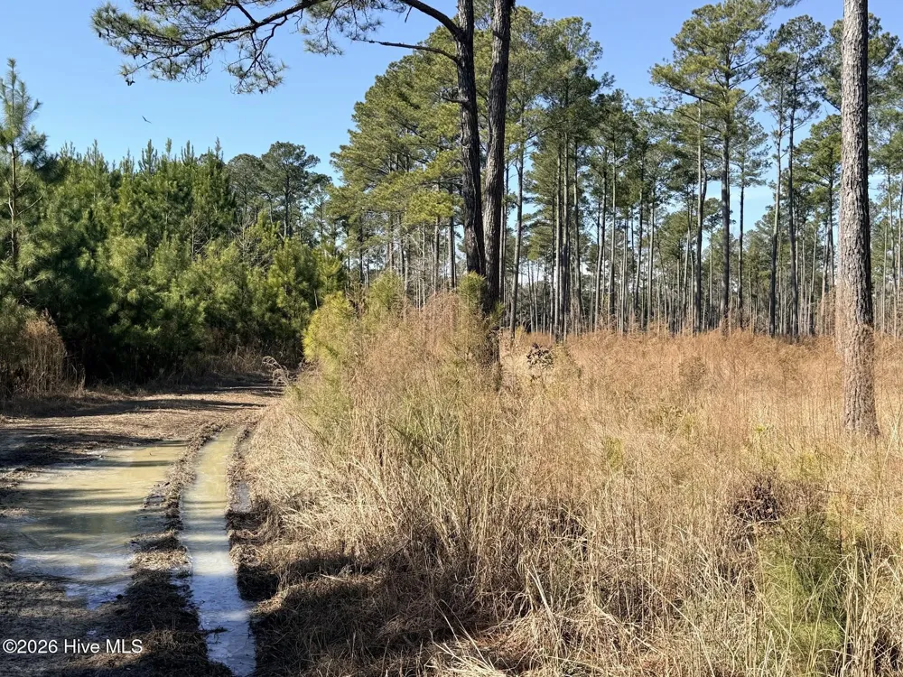 0 Sr 1119 Off Chocowinity, NC 27817