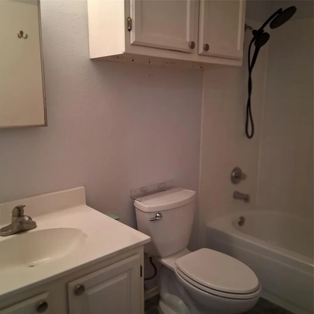 15423 Wood Sorrel San Antonio, TX 78247