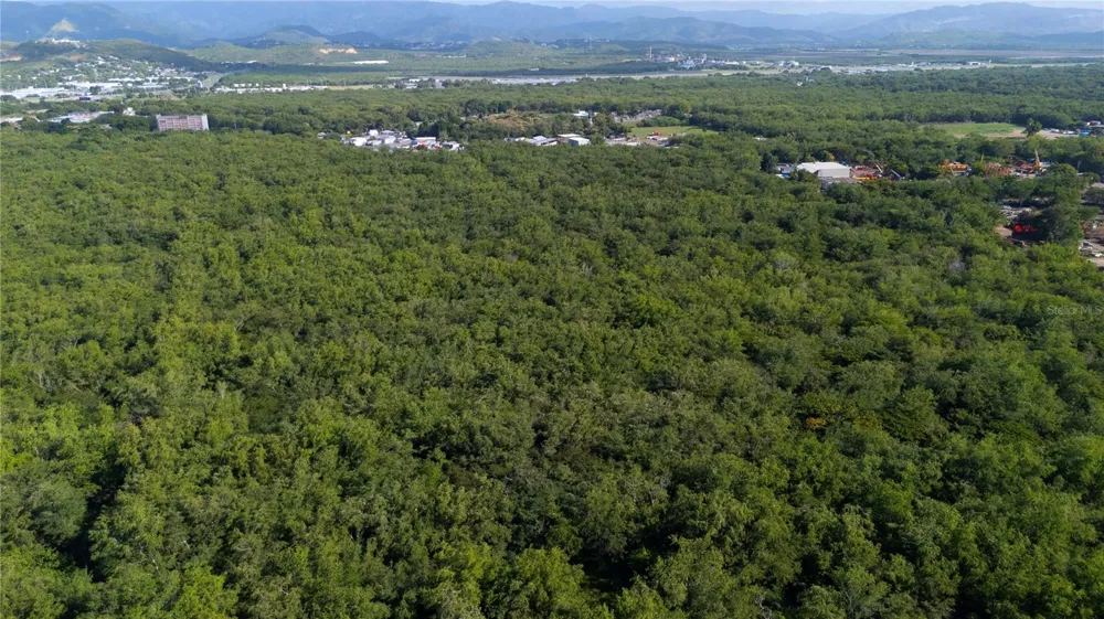 SECTOR VALLAS TORRES LOT 2 Ponce, PR 00715