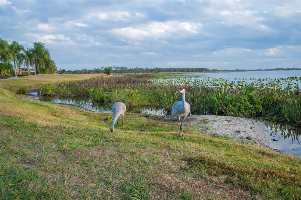 4632 TURNBERRY LANE Lake Wales, FL 33859