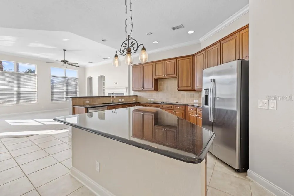 25515 HAWKS RUN LANE Sorrento, FL 32776