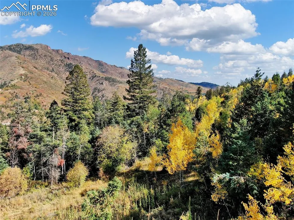 5295 Kulsa Road Cascade, CO 80809