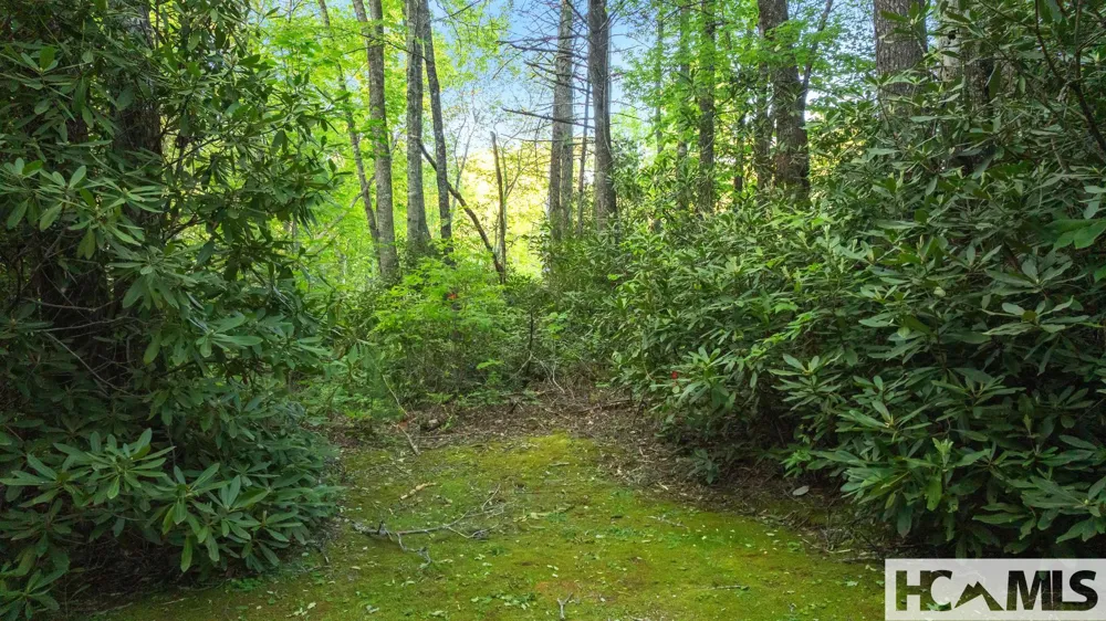 LT 29/36 Long Bridge N Cullowhee, NC 28717