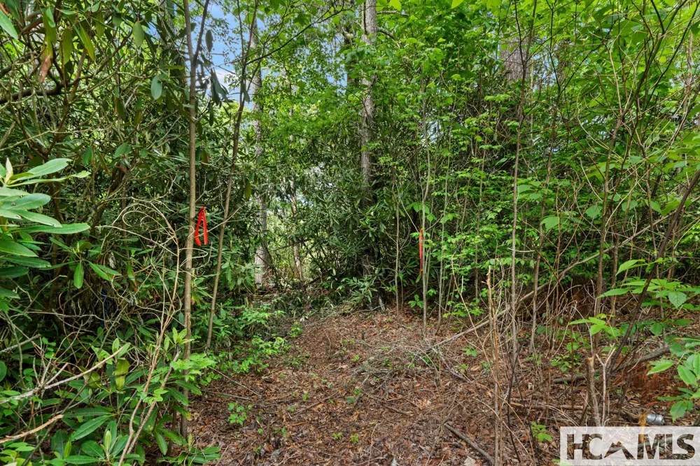 LT 29/36 Long Bridge N Cullowhee, NC 28717