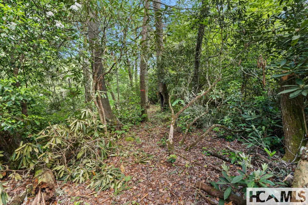 LT 29/36 Long Bridge N Cullowhee, NC 28717