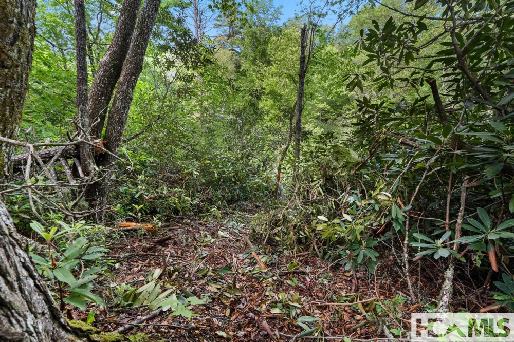 LT 29/36 Long Bridge N Cullowhee, NC 28717