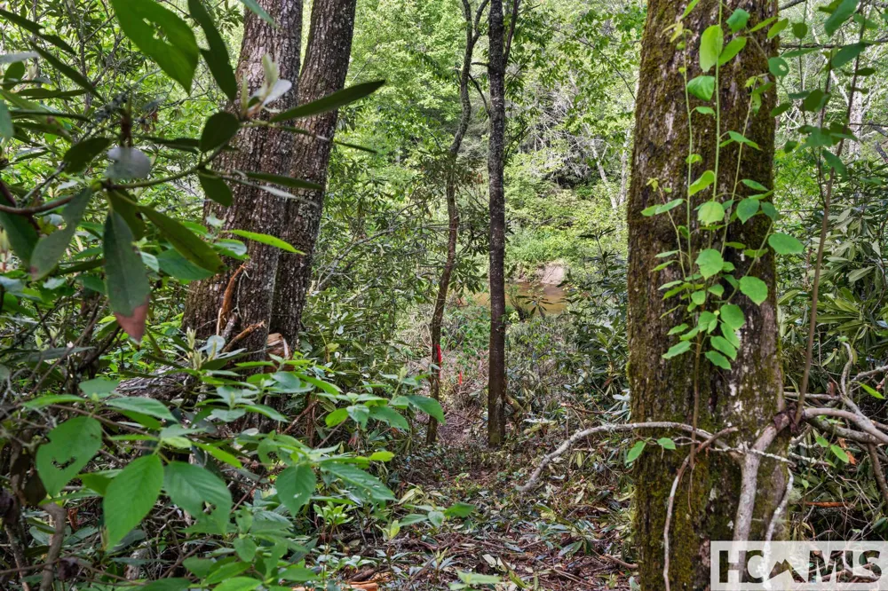 LT 29/36 Long Bridge N Cullowhee, NC 28717