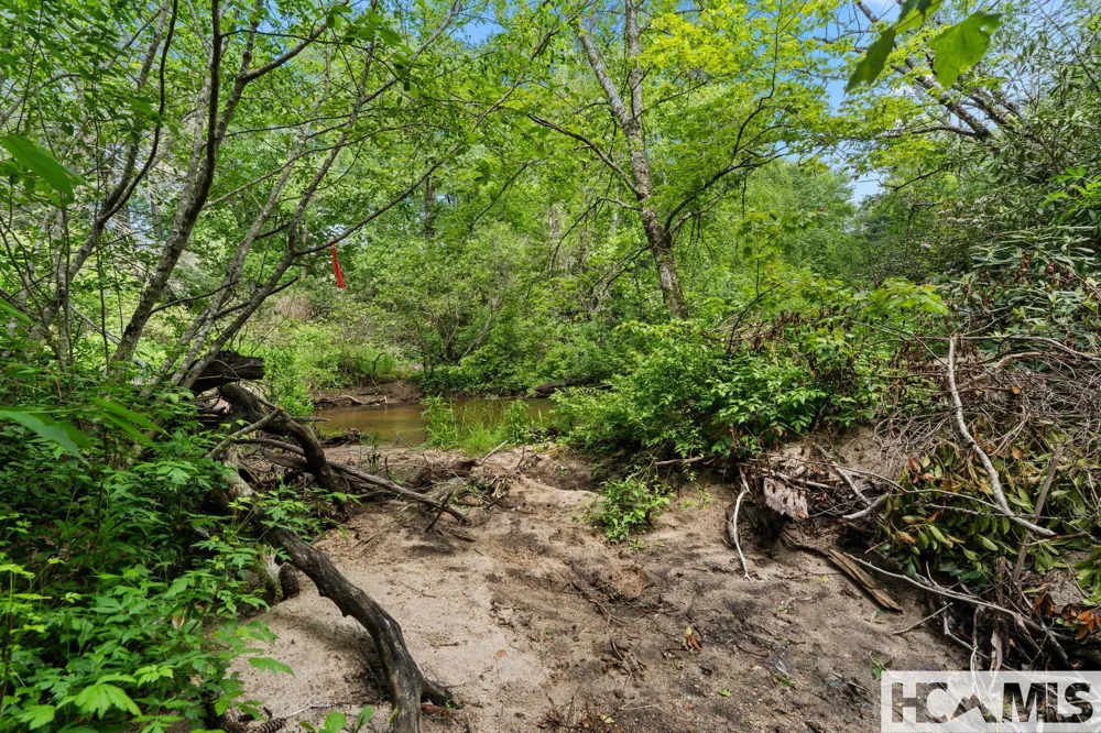 LT 29/36 Long Bridge N Cullowhee, NC 28717