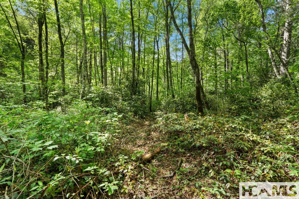 LT 29/36 Long Bridge N Cullowhee, NC 28717