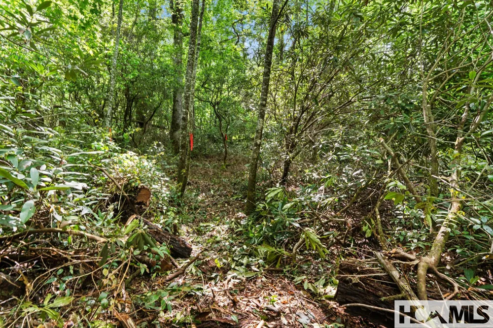 LT 29/36 Long Bridge N Cullowhee, NC 28717