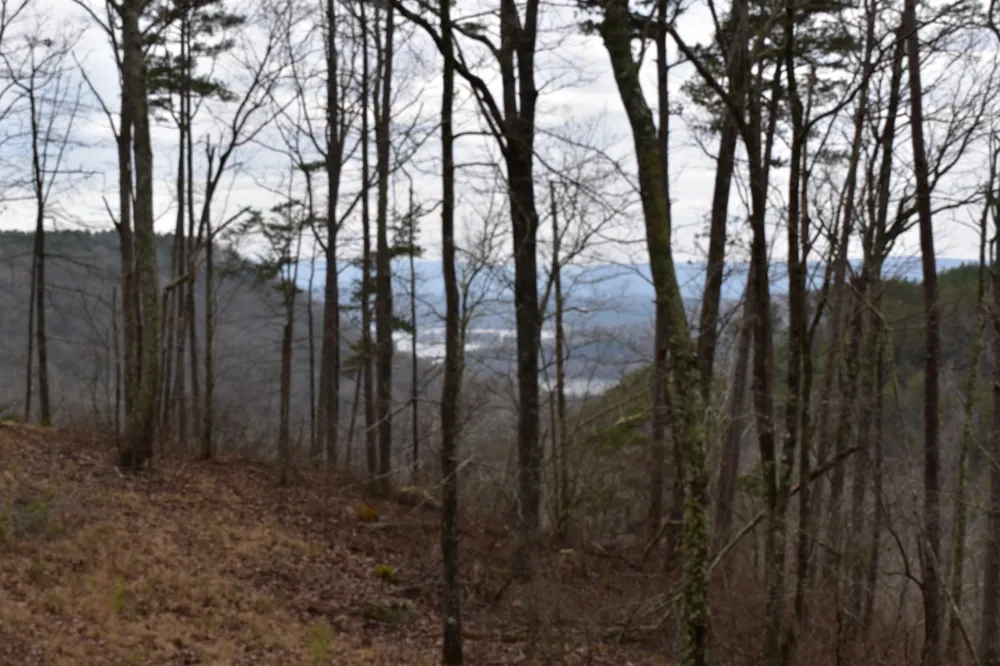 0 Birds Eye Way Guild, TN 37340