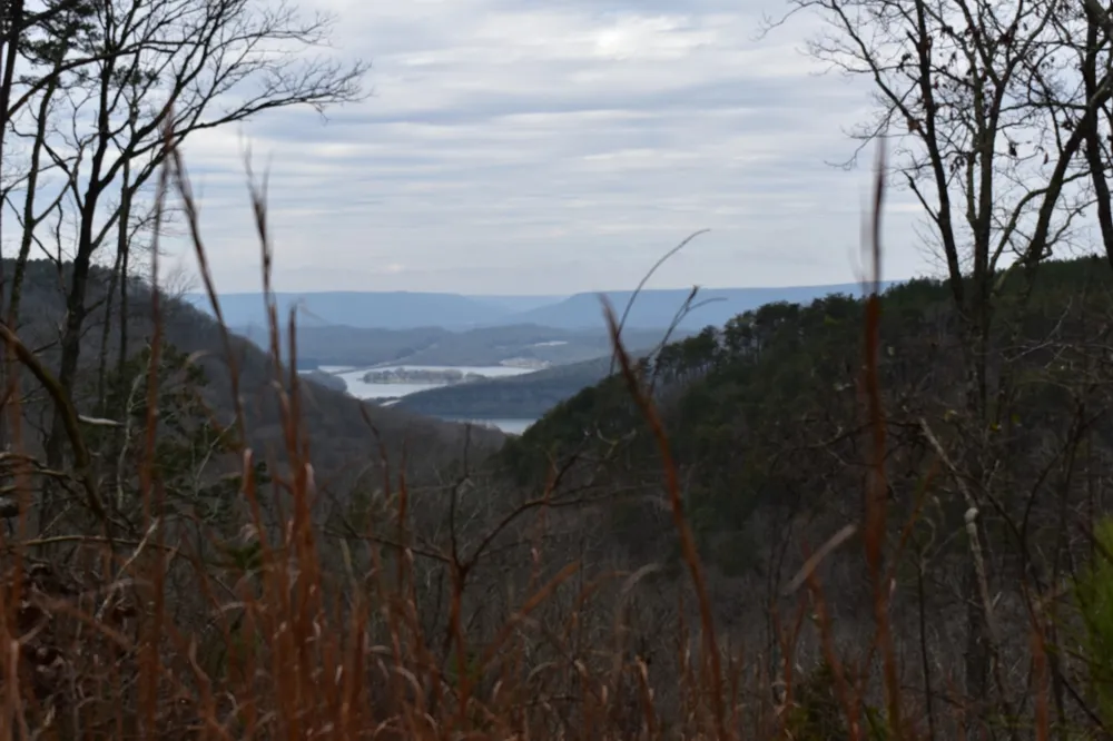 0 Birds Eye Way Guild, TN 37340