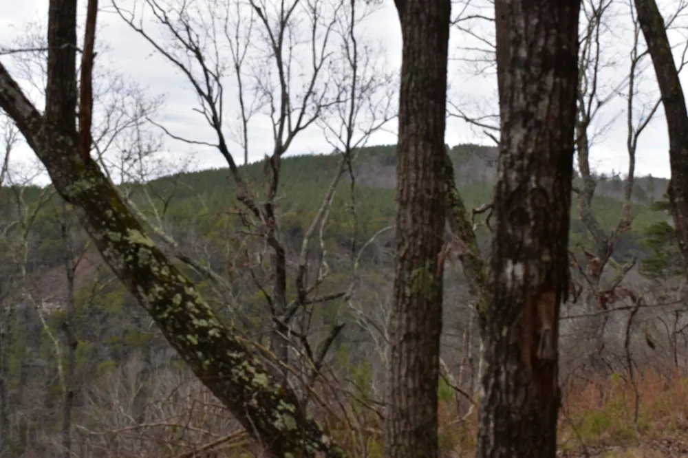 0 Birds Eye Way Guild, TN 37340