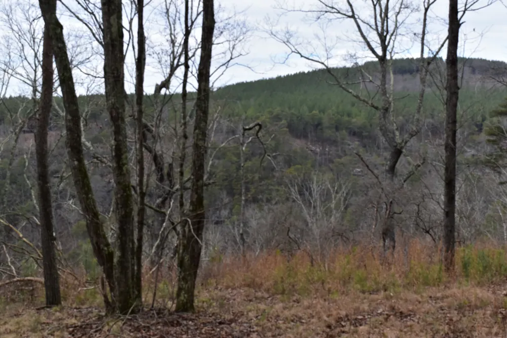 0 Birds Eye Way Guild, TN 37340