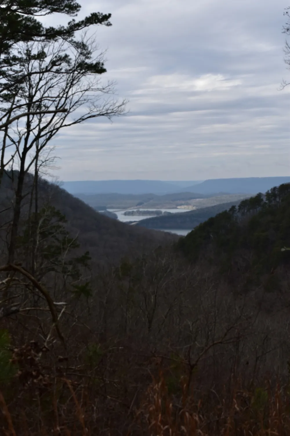 0 Birds Eye Way Guild, TN 37340