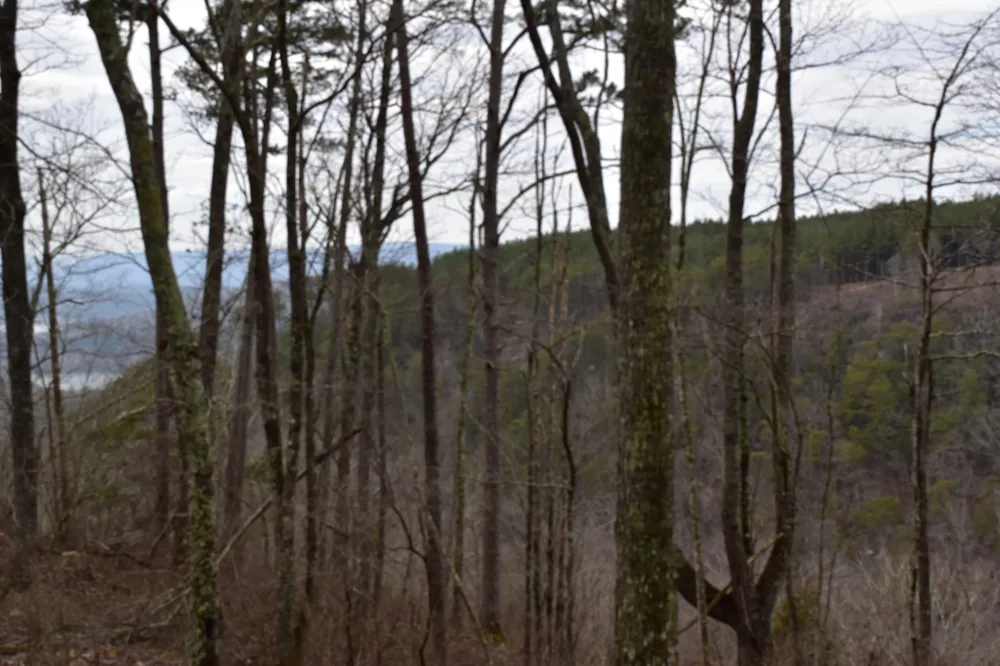 0 Birds Eye Way Guild, TN 37340