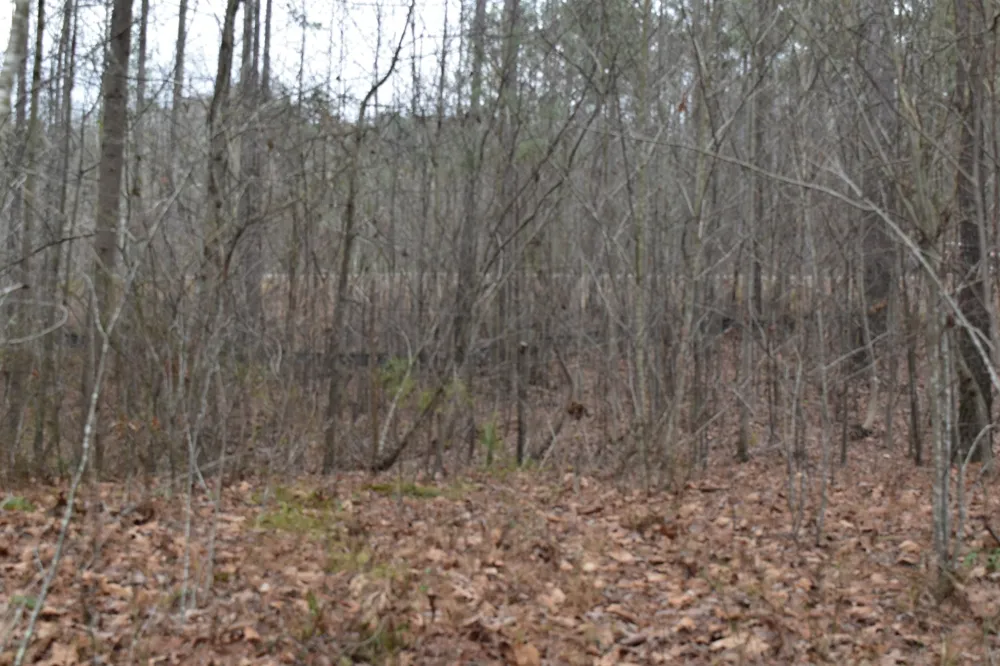 0 Birds Eye Way Guild, TN 37340