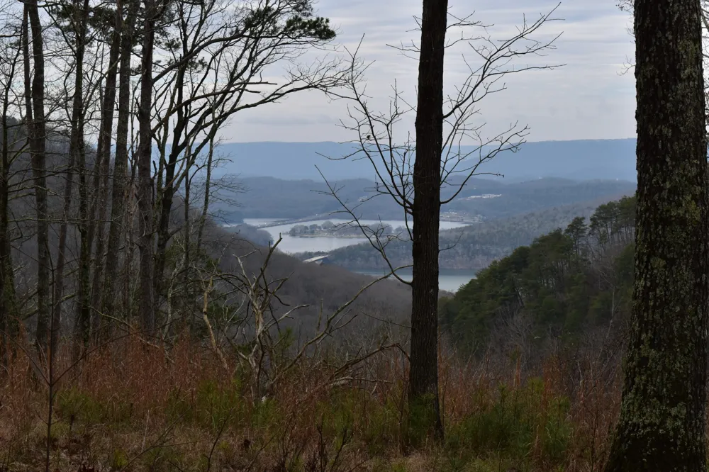 0 Birds Eye Way Guild, TN 37340