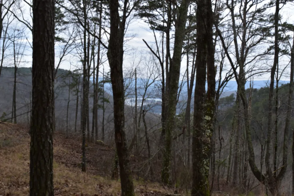 0 Birds Eye Way Guild, TN 37340