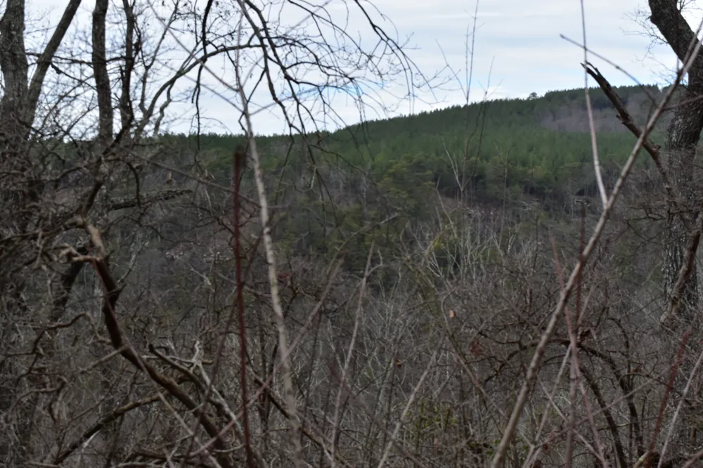 0 Birds Eye Way Guild, TN 37340