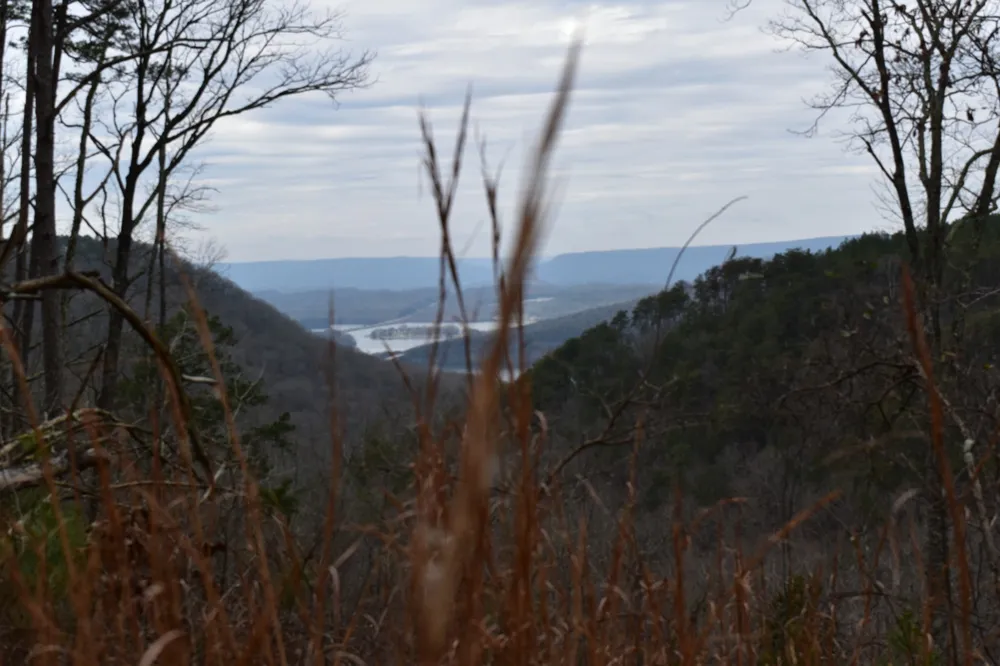 0 Birds Eye Way Guild, TN 37340