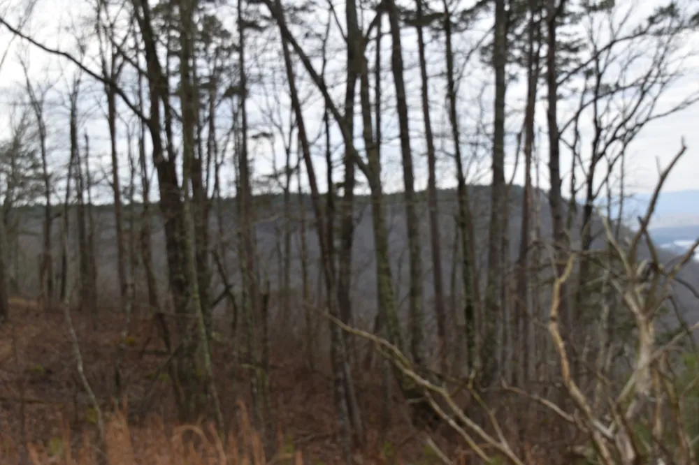 0 Birds Eye Way Guild, TN 37340