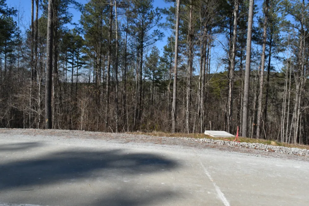 0 Birds Eye Way Guild, TN 37340