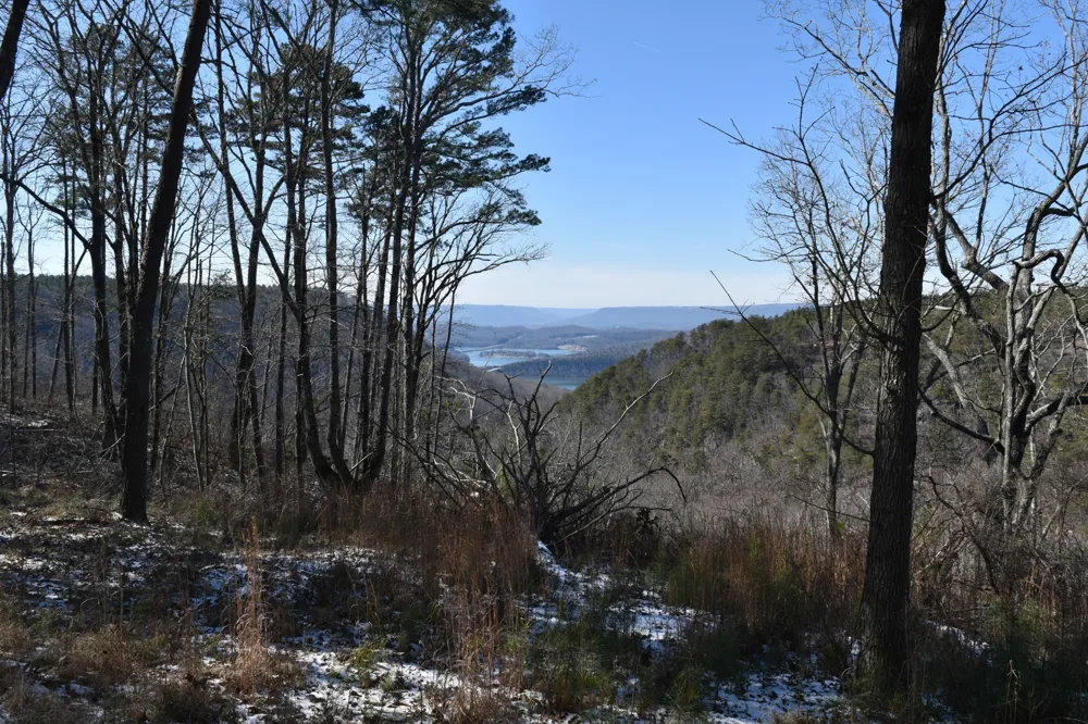 0 Birds Eye Way Guild, TN 37340