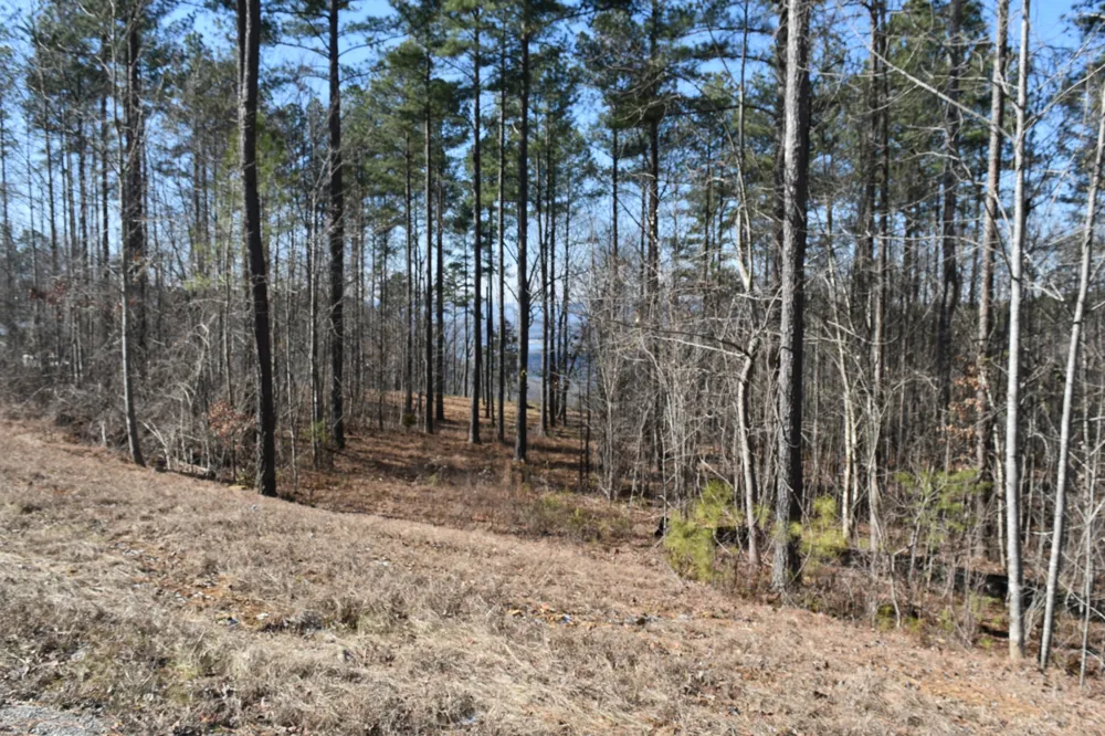 0 Birds Eye Way Guild, TN 37340