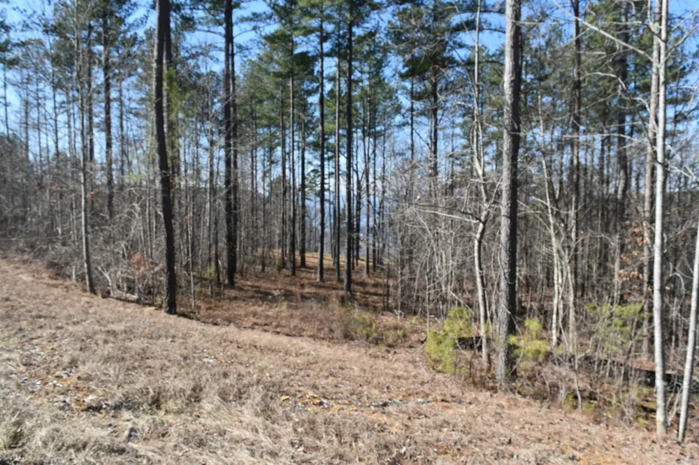 0 Birds Eye Way Guild, TN 37340