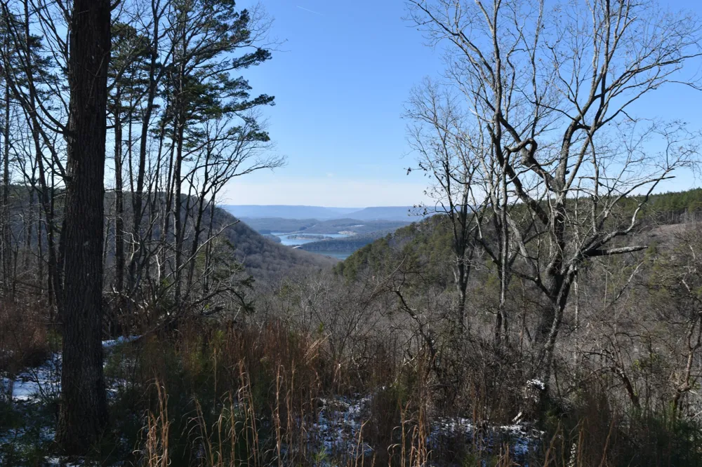 0 Birds Eye Way Guild, TN 37340