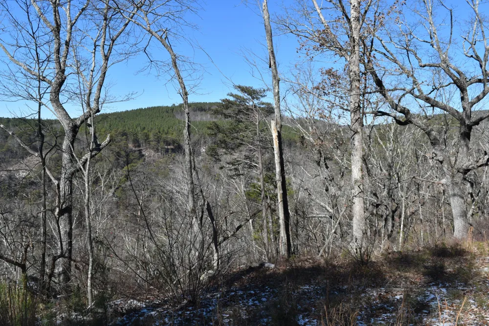 0 Birds Eye Way Guild, TN 37340