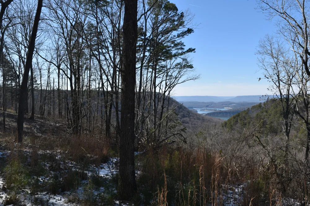 0 Birds Eye Way Guild, TN 37340