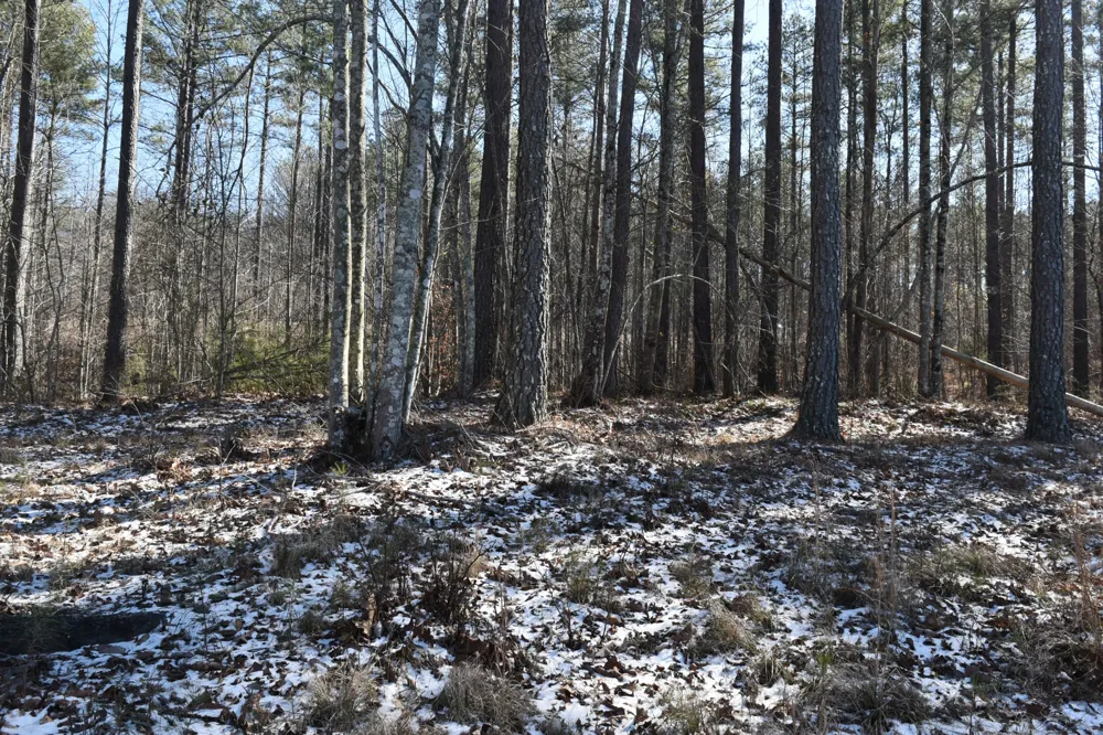 0 Birds Eye Way Guild, TN 37340